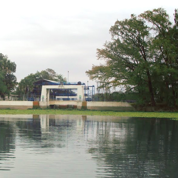 La Aguja